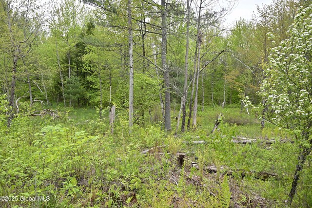 75 Mackin Rd, Russell, NY 13684
