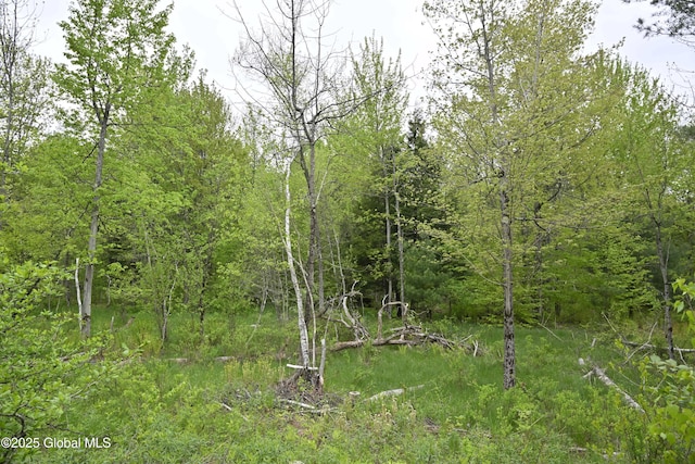 75 Mackin Rd, Russell, NY 13684