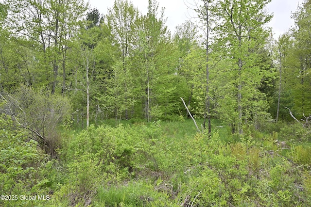 75 Mackin Rd, Russell, NY 13684