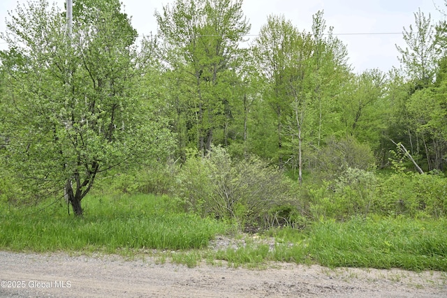 75 Mackin Rd, Russell, NY 13684