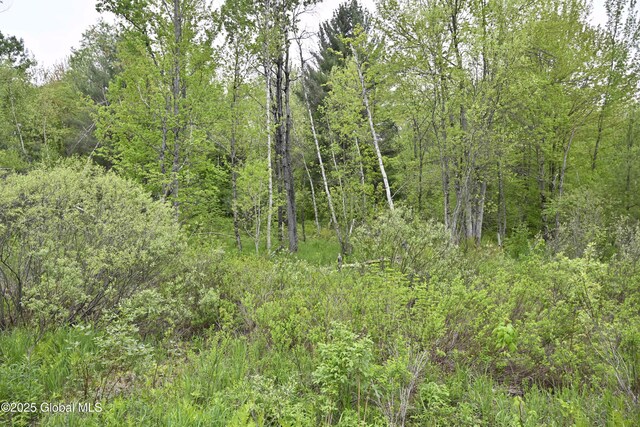 75 Mackin Rd, Russell, NY 13684