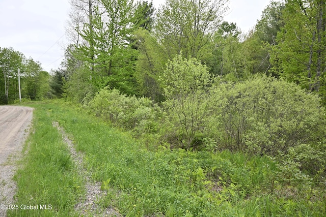 75 Mackin Rd, Russell, NY 13684