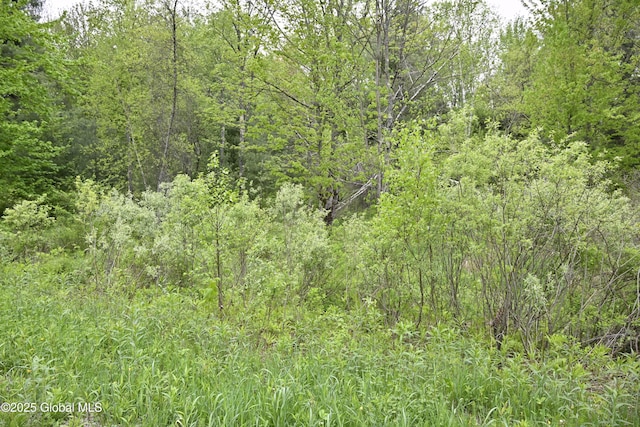 75 Mackin Rd, Russell, NY 13684