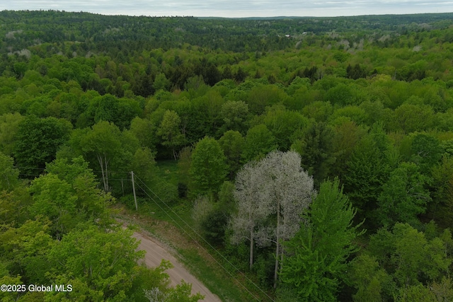 75 Mackin Rd, Russell, NY 13684