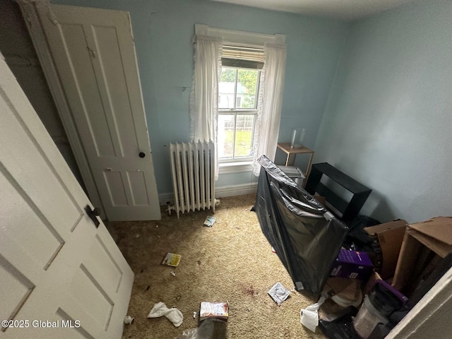 728 N Madison St, Rome, NY 13440 - photo 8