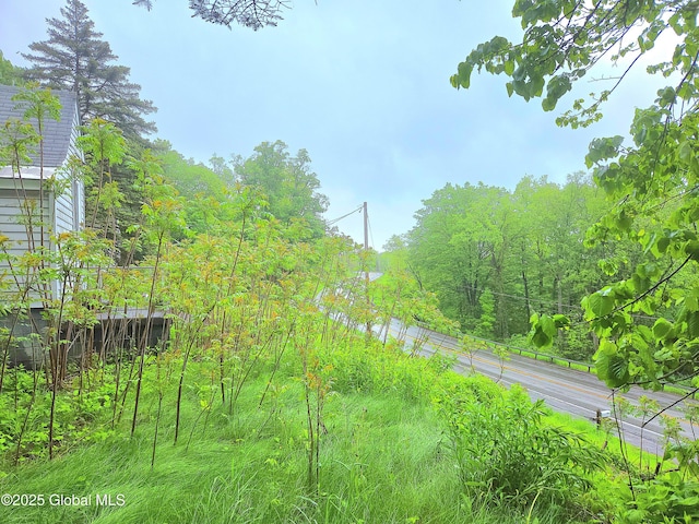 5203 State Route 167, Little Falls, NY 13365 - view of yard