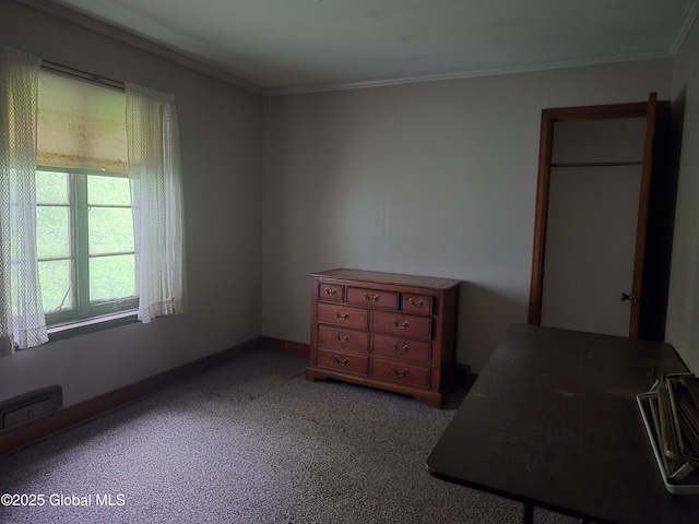 5203 State Route 167, Little Falls, NY 13365 - unfurnished bedroom featuring crown molding and carpet flooring