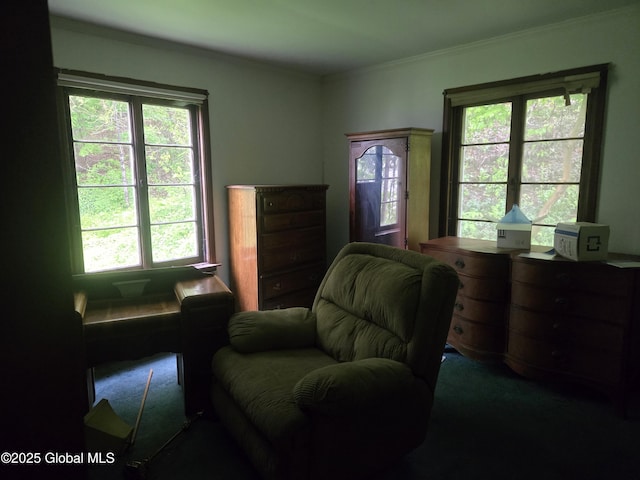 5203 State Route 167, Little Falls, NY 13365 - living area with plenty of natural light, ornamental molding, and carpet flooring