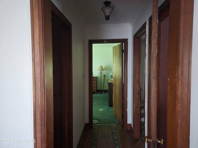 5203 State Route 167, Little Falls, NY 13365 - hall with ornamental molding