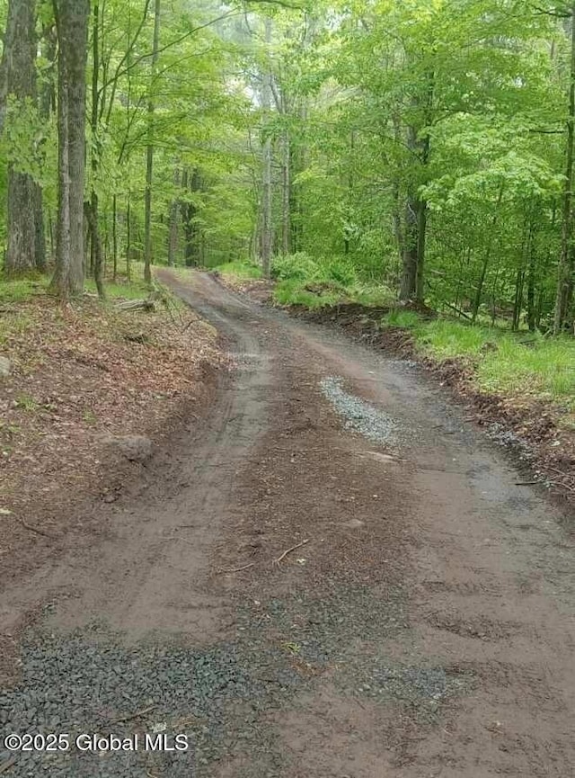 L5 Fox Hill Rd, Edinburg, NY 12134