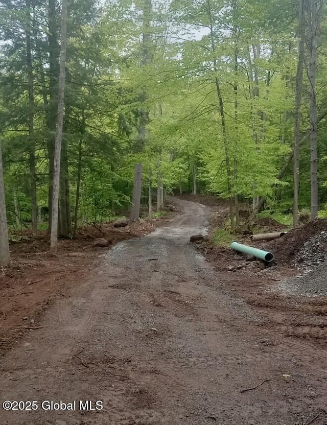 L5 Fox Hill Rd, Edinburg, NY 12134