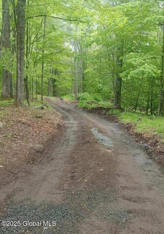L5 Fox Hill Rd, Edinburg, NY 12134