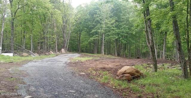 L5 Fox Hill Rd, Edinburg, NY 12134