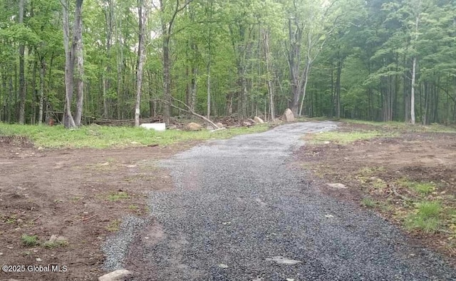 L5 Fox Hill Rd, Edinburg, NY 12134