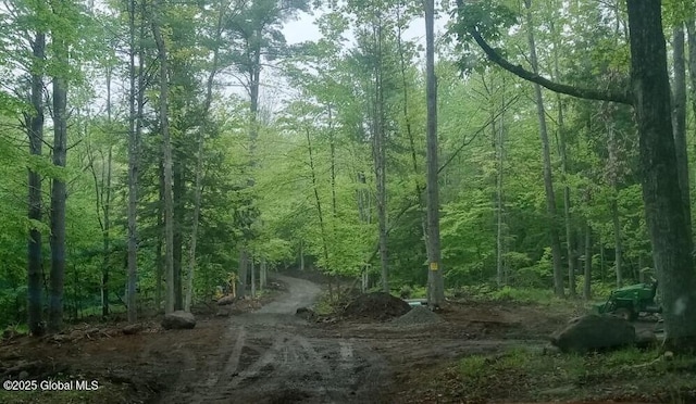 L5 Fox Hill Rd, Edinburg, NY 12134