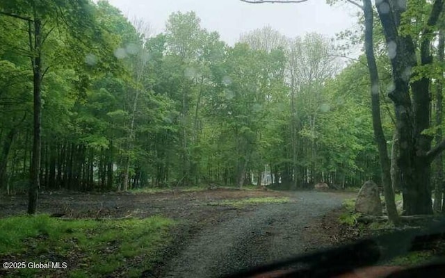L5 Fox Hill Rd, Edinburg, NY 12134