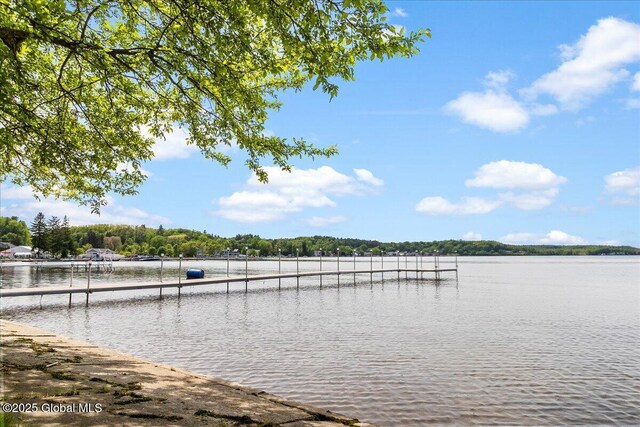 527 Nys Route 9p, Stillwater, NY 12866 - dock area with a water view