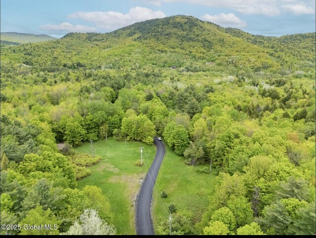 24 Tannery Ln, Hague, NY 12836