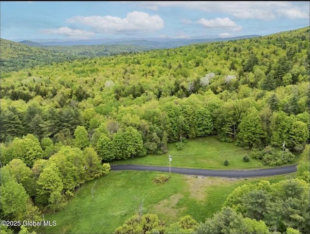 24 Tannery Ln, Hague, NY 12836