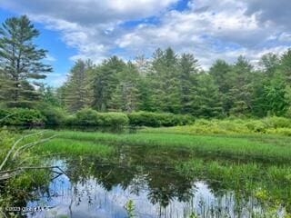 LOT4 Mcgregor Rd, Johnstown, NY 12078