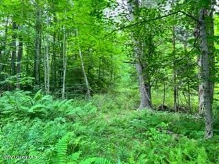 LOT4 Mcgregor Rd, Johnstown, NY 12078