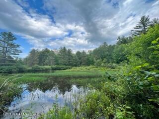 LOT4 Mcgregor Rd, Johnstown, NY 12078