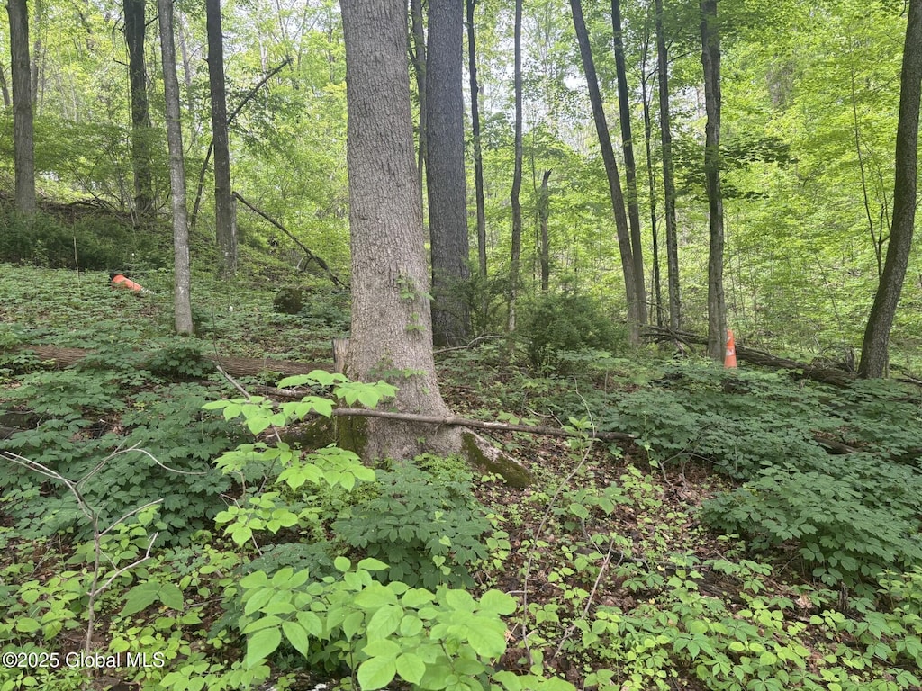 238 Emigh Rd, Milton, NY 12863