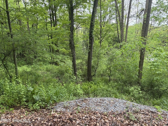 238 Emigh Rd, Milton, NY 12863