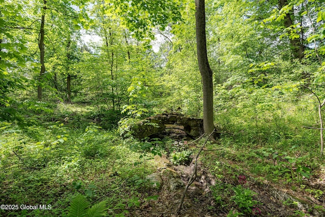 91 Gorman Rd, Menands, NY 12204 - view of tree filled area
