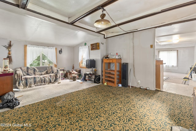 20 Vincek Ln, Wilton, NY 12866 - living area featuring healthy amount of natural light and carpet flooring