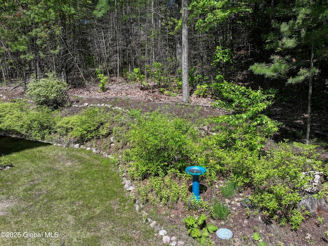 268 Dodd Hill Rd, Hague, NY 12836 - view of yard