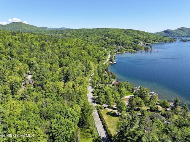 268 Dodd Hill Rd, Hague, NY 12836 - drone / aerial view of a heavily wooded area and a water and mountain view