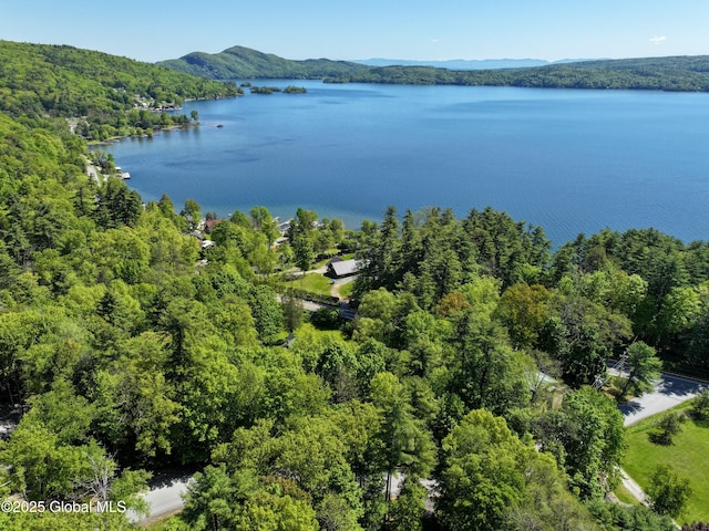 268 Dodd Hill Rd, Hague, NY 12836 - aerial view of a water and mountain view and a heavily wooded area
