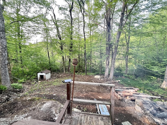 5244 State Highway 29a, Stratford, NY 13470 - view of yard featuring a wooded view