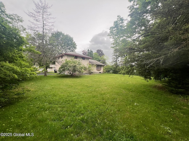 1345 Evergreen Ave, Rotterdam, NY 12306 - photo 4