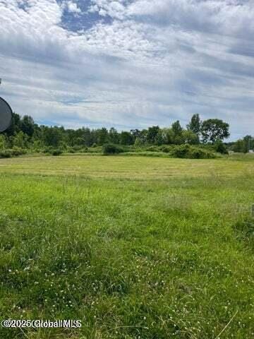 1019 Brand Rd, Root, NY 12166 - view of undeveloped land featuring rural landscape