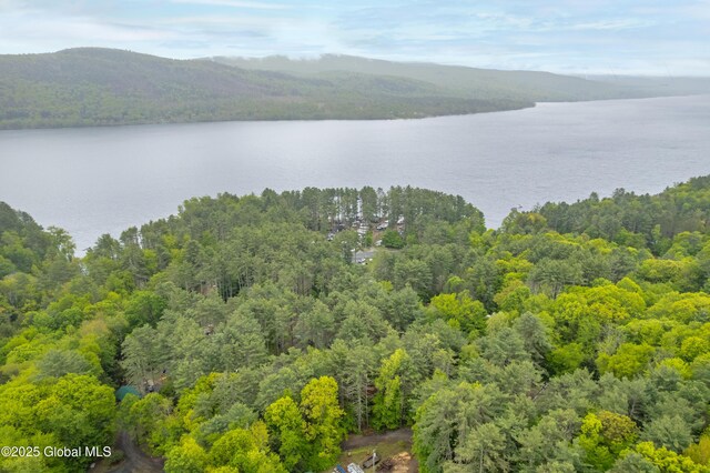 8 Crescent Dr, Edinburg, NY 12835 - photo 8
