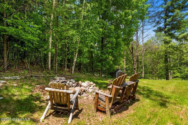 113 New Vermont Rd, Bolton, NY 12814 - view of yard