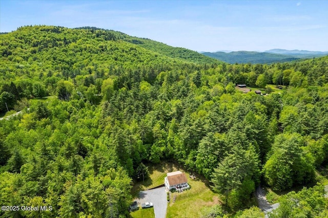113 New Vermont Rd, Bolton, NY 12814 - drone / aerial view of a heavily wooded area and a mountainous background