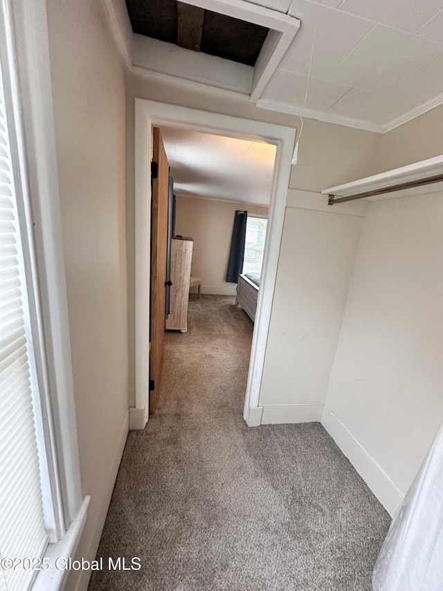 134 Moyer St, Canajoharie, NY 13317 - walk in closet with carpet floors