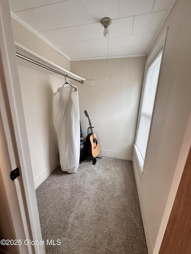 134 Moyer St, Canajoharie, NY 13317 - spacious closet featuring carpet flooring