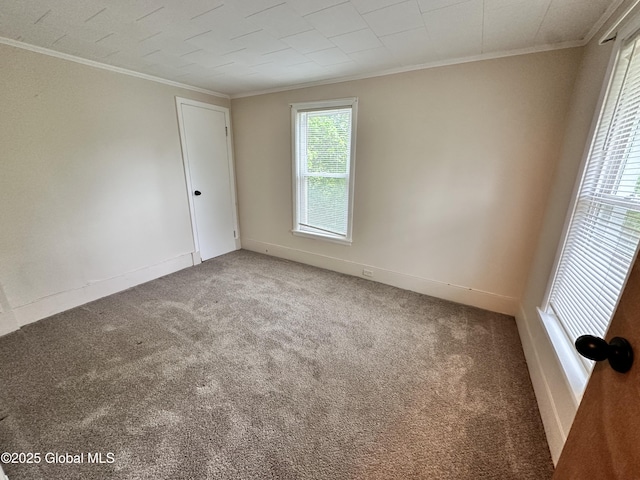 134 Moyer St, Canajoharie, NY 13317 - carpeted spare room featuring crown molding and baseboards