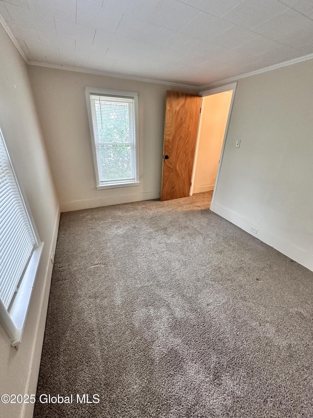 134 Moyer St, Canajoharie, NY 13317 - empty room with crown molding, carpet flooring, and baseboards