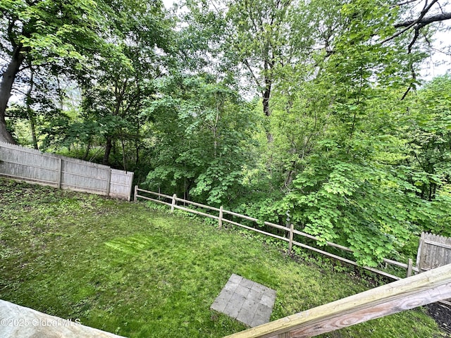 134 Moyer St, Canajoharie, NY 13317 - view of yard