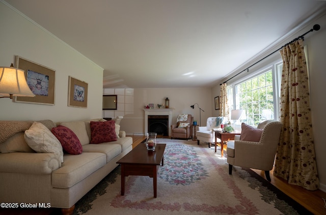 95 Jordan Blvd, Bethlehem, NY 12054 - living area featuring a fireplace