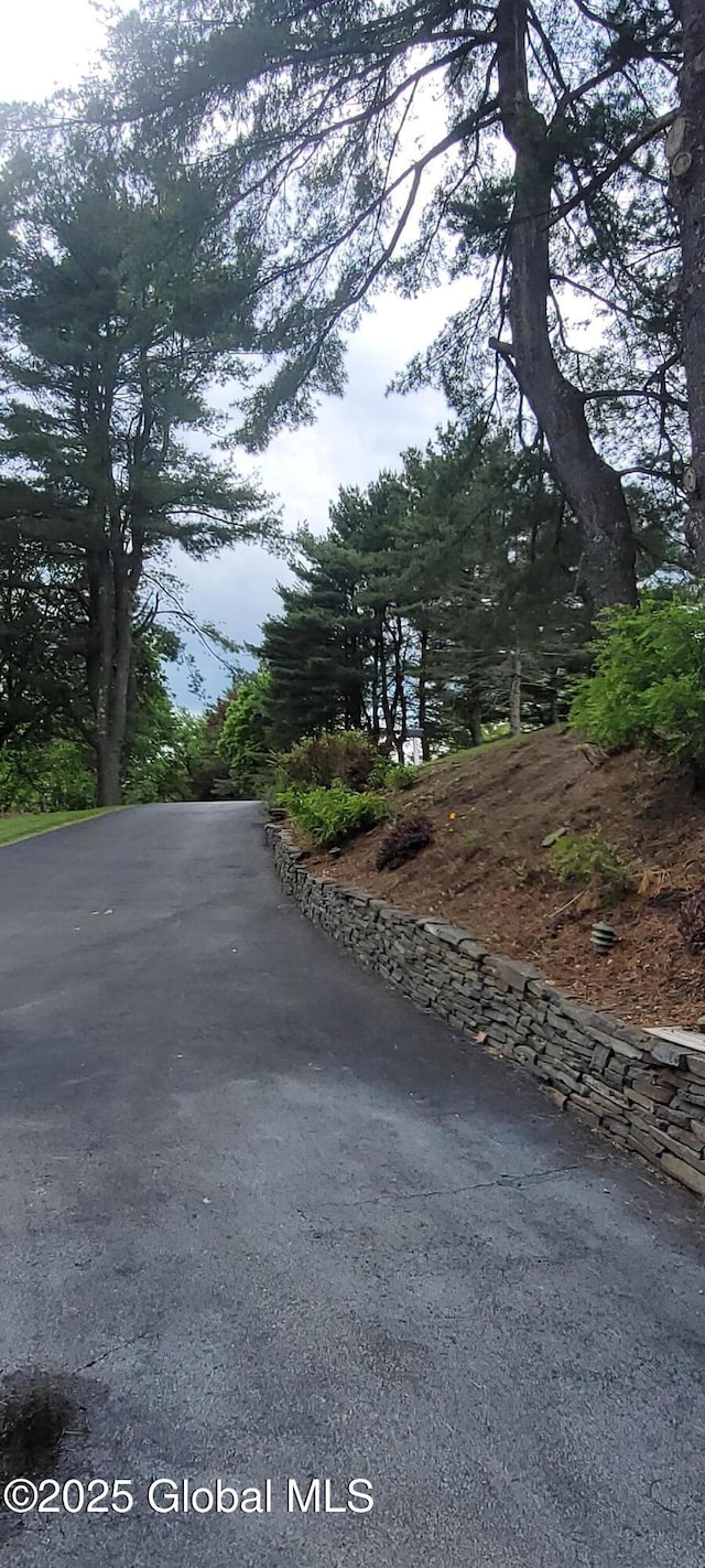 22 E Rd, Brunswick, NY 12180 - view of street