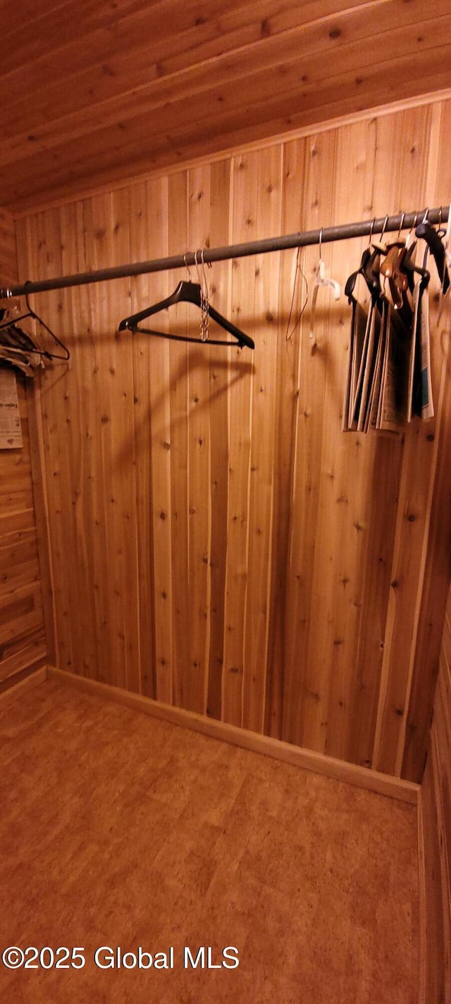 22 E Rd, Brunswick, NY 12180 - walk in closet with carpet floors