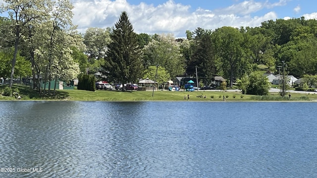 209 Hudson Ave E, East Greenbush, NY 12144 - water view