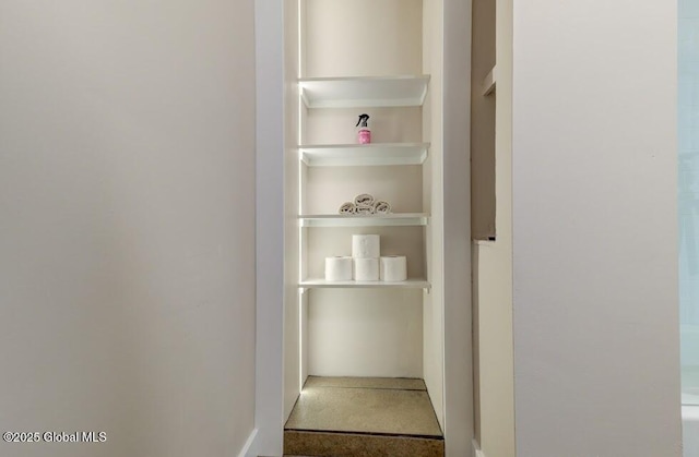 3956 Rte 9 W, Saugerties, NY 12477 - view of closet