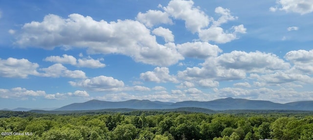 3956 Rte 9 W, Saugerties, NY 12477 - view of mountain backdrop featuring a heavily wooded area